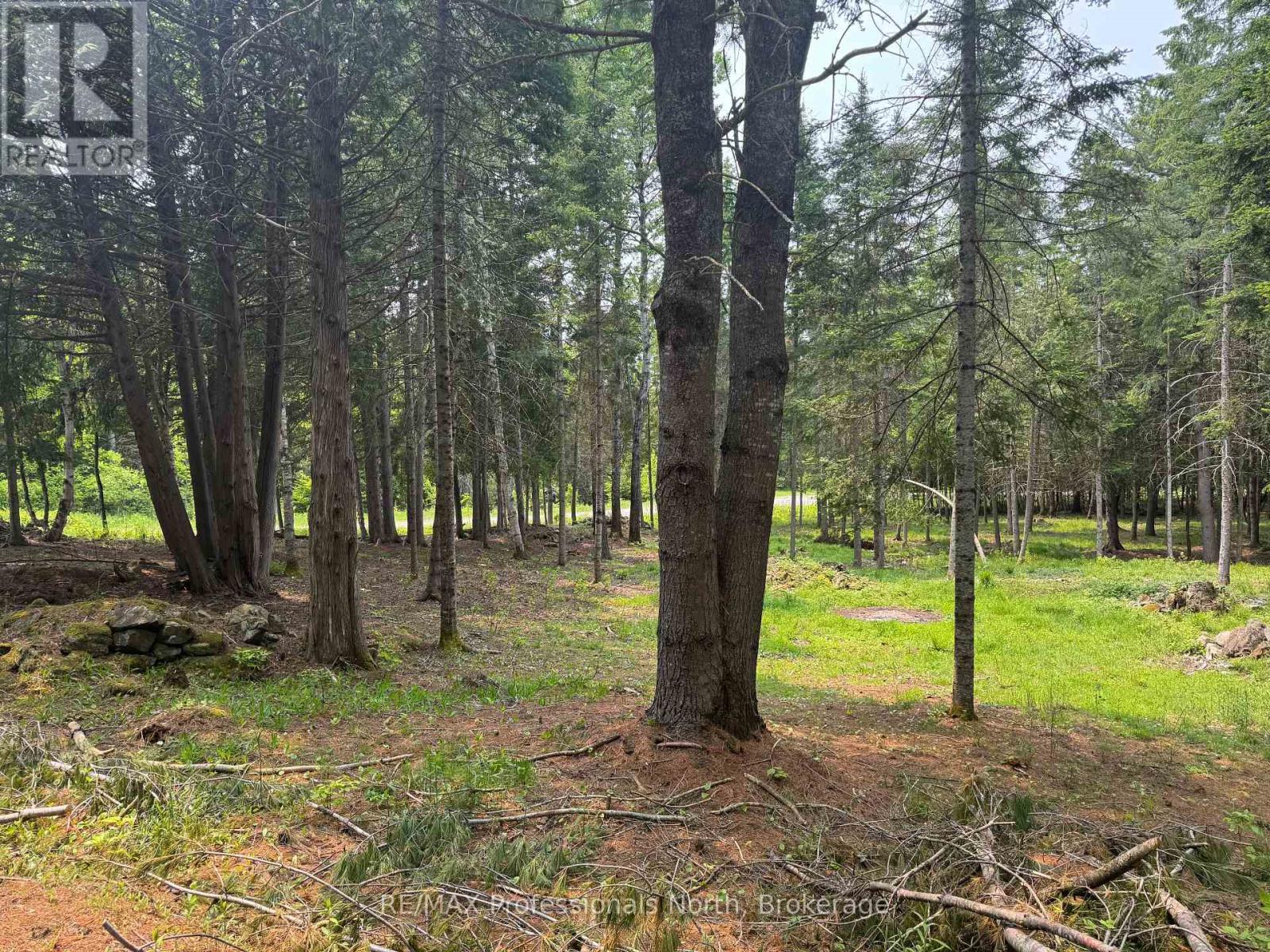 1897 Blairhampton Road, Minden Hills, Ontario  K0M 2K0 - Photo 10 - X13096576