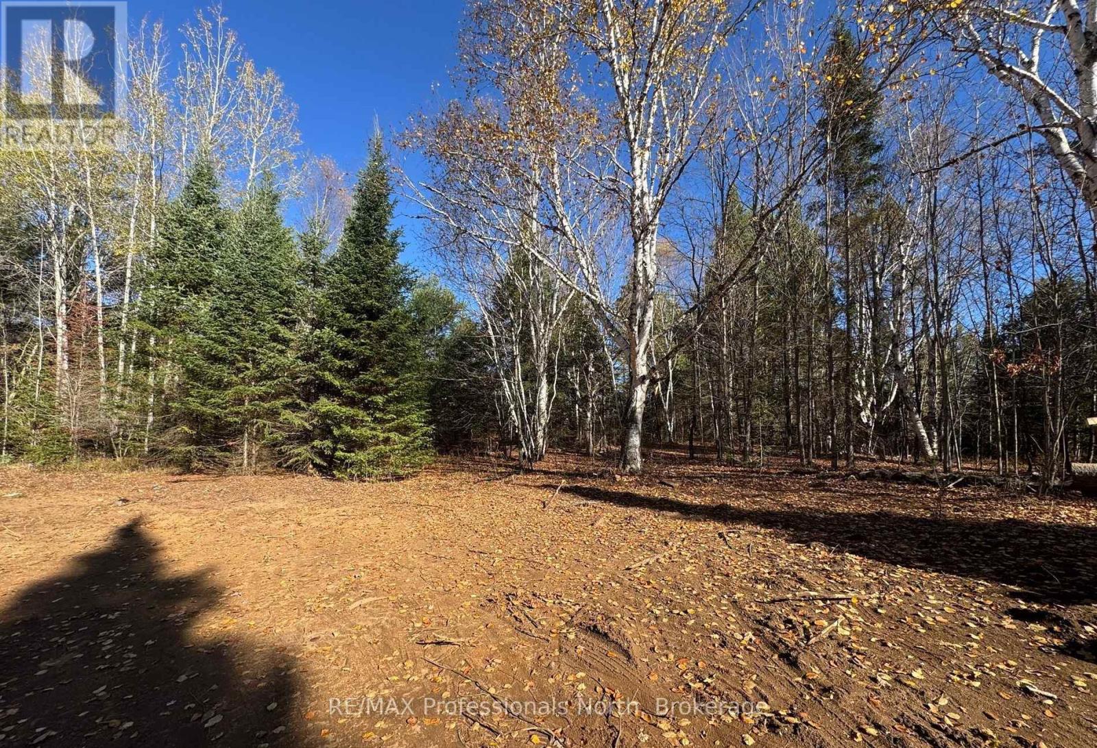1897 Blairhampton Road, Minden Hills, Ontario  K0M 2K0 - Photo 29 - X13096576