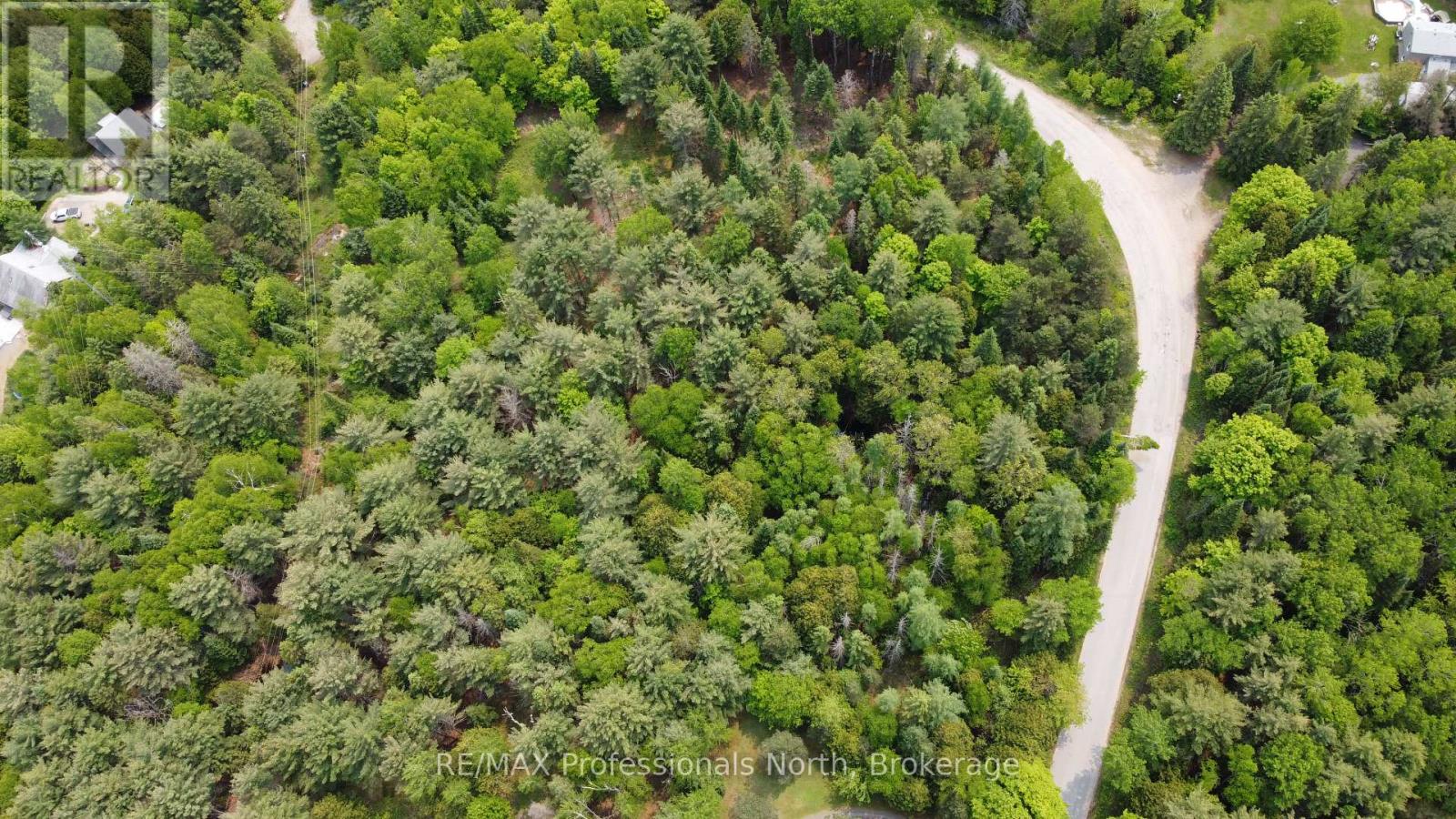 1897 Blairhampton Road, Minden Hills, Ontario  K0M 2K0 - Photo 21 - X13096576