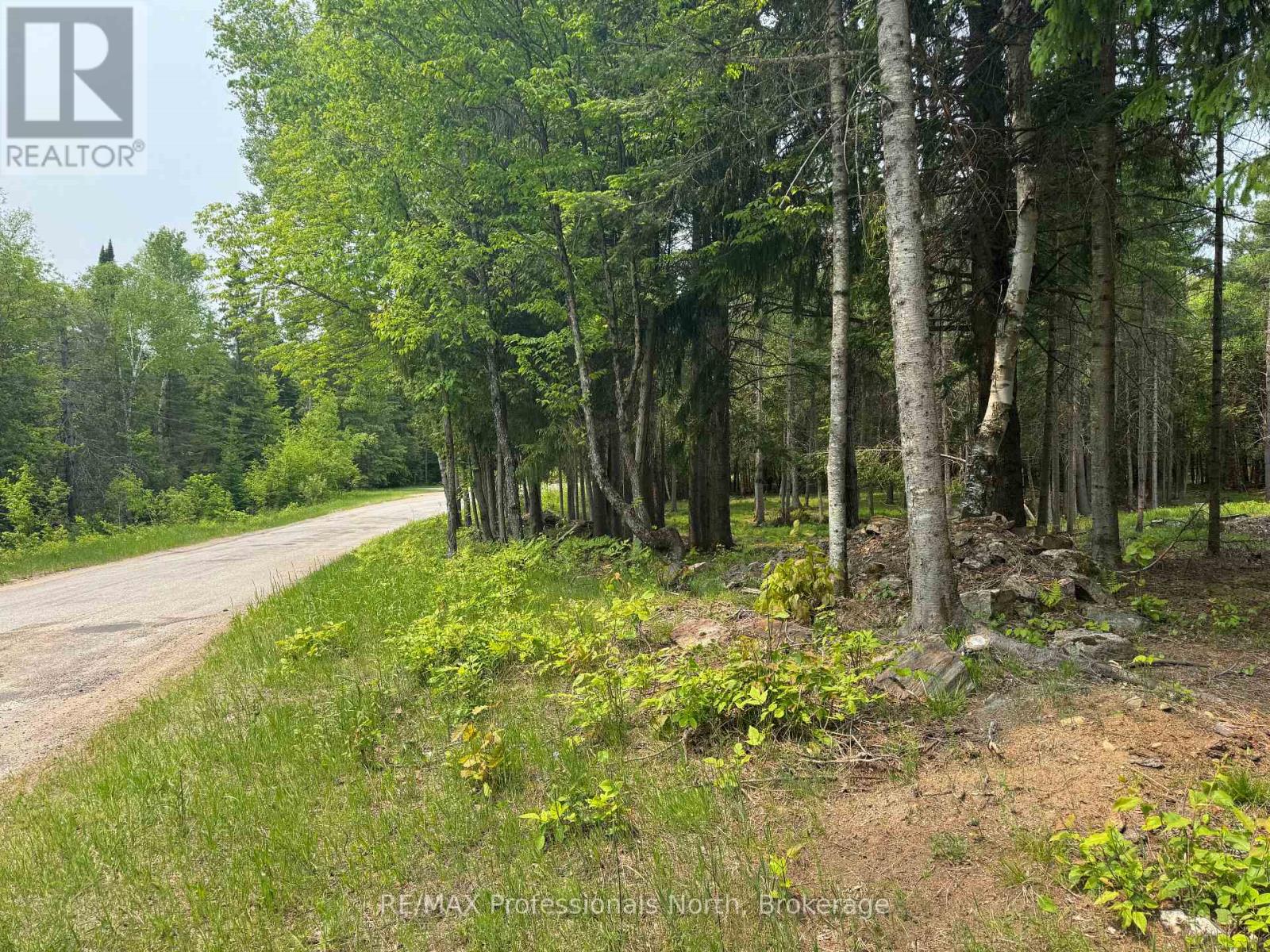 1897 Blairhampton Road, Minden Hills, Ontario  K0M 2K0 - Photo 4 - X13096576