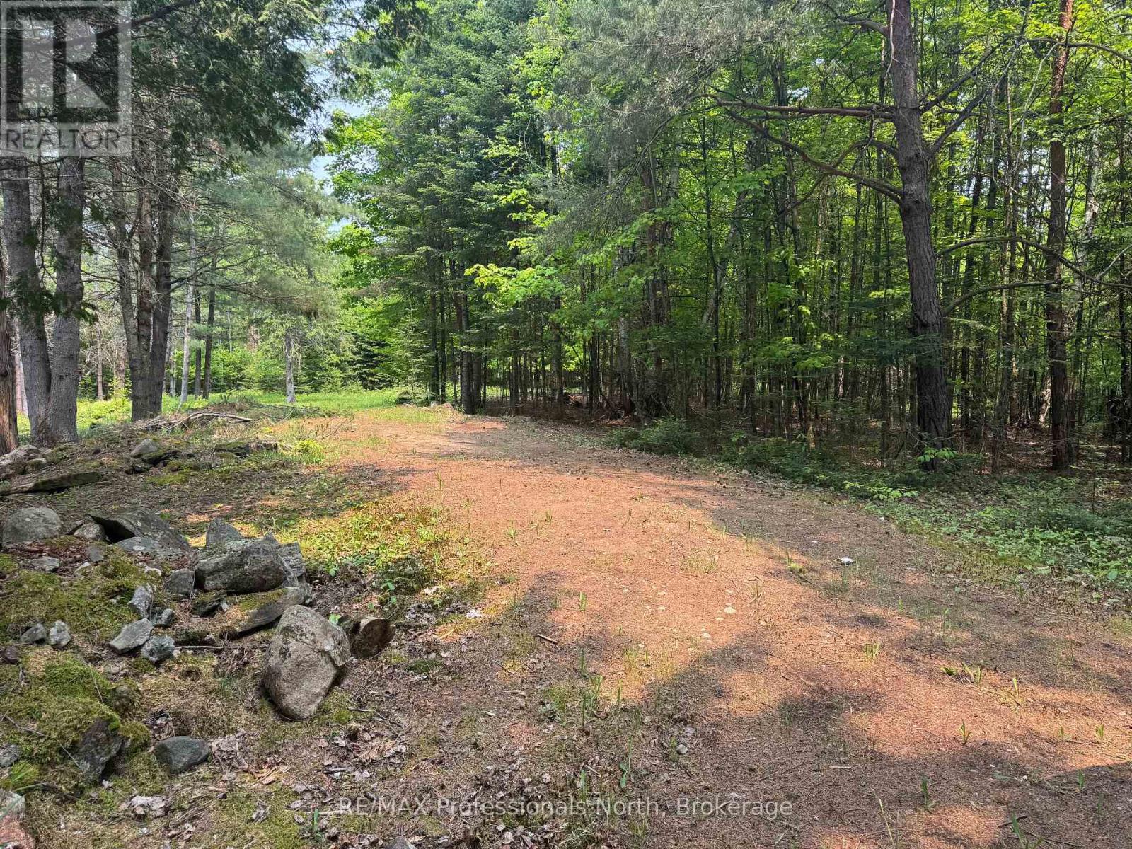 1897 Blairhampton Road, Minden Hills, Ontario  K0M 2K0 - Photo 6 - X13096576