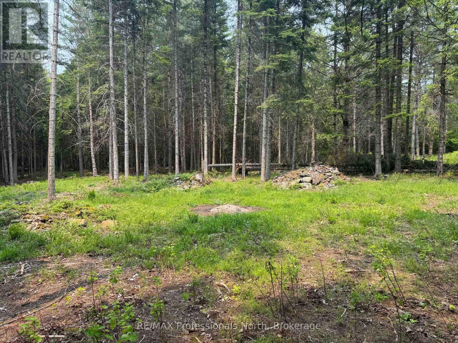 1897 Blairhampton Road, Minden Hills, Ontario  K0M 2K0 - Photo 8 - X13096576