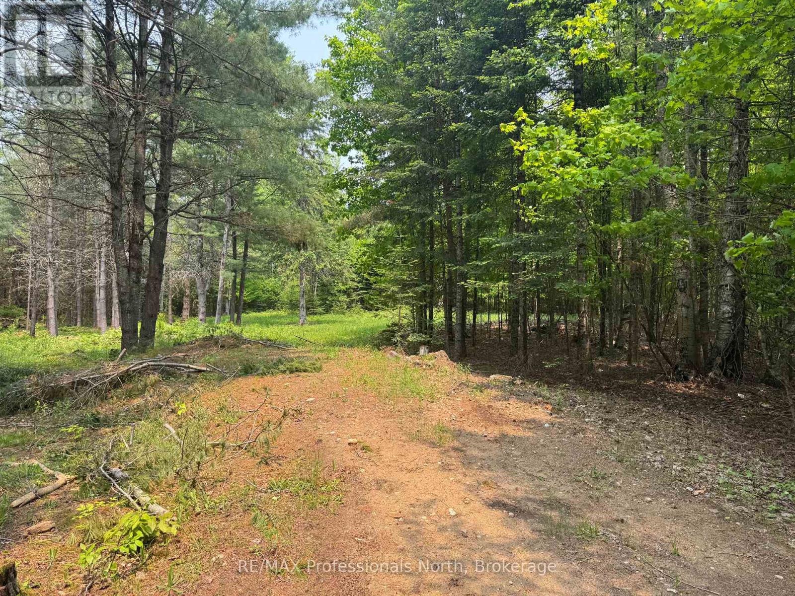 1897 Blairhampton Road, Minden Hills, Ontario  K0M 2K0 - Photo 9 - X13096576