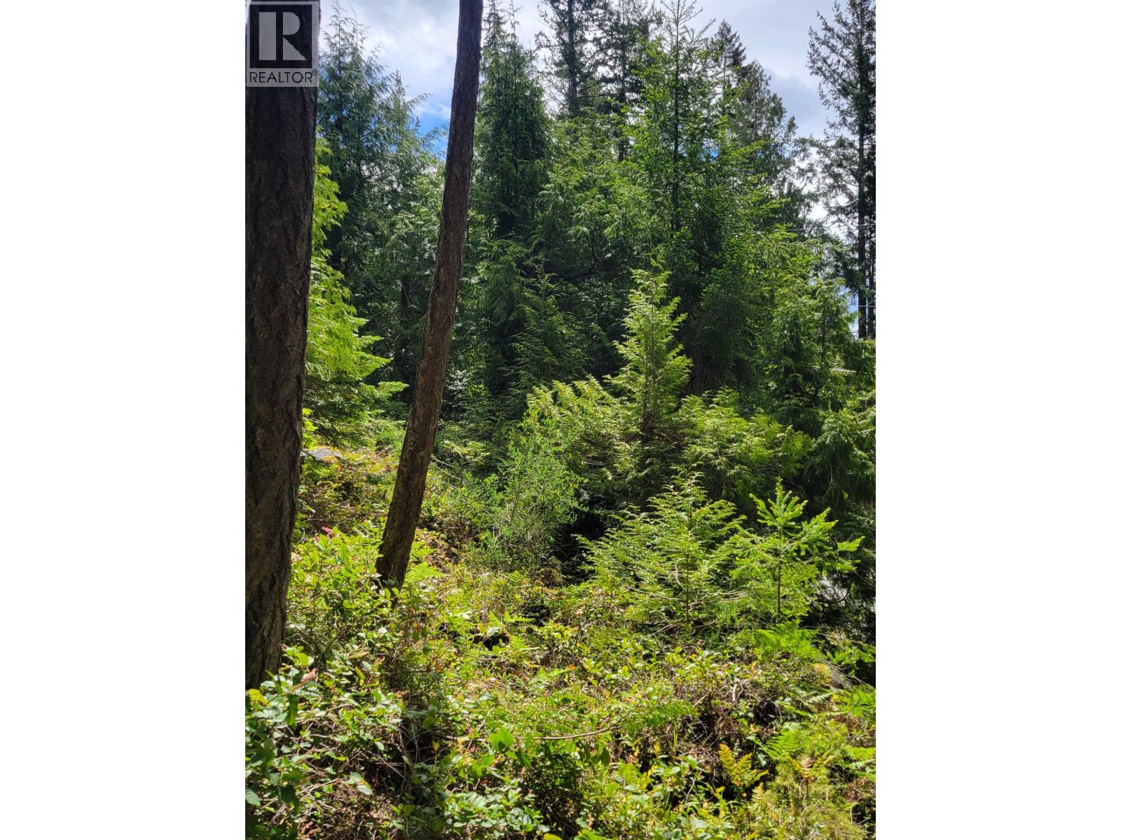 Lot 3 Sinclair Bay Road, Garden Bay, British Columbia  V0N 1S1 - Photo 21 - R3101108