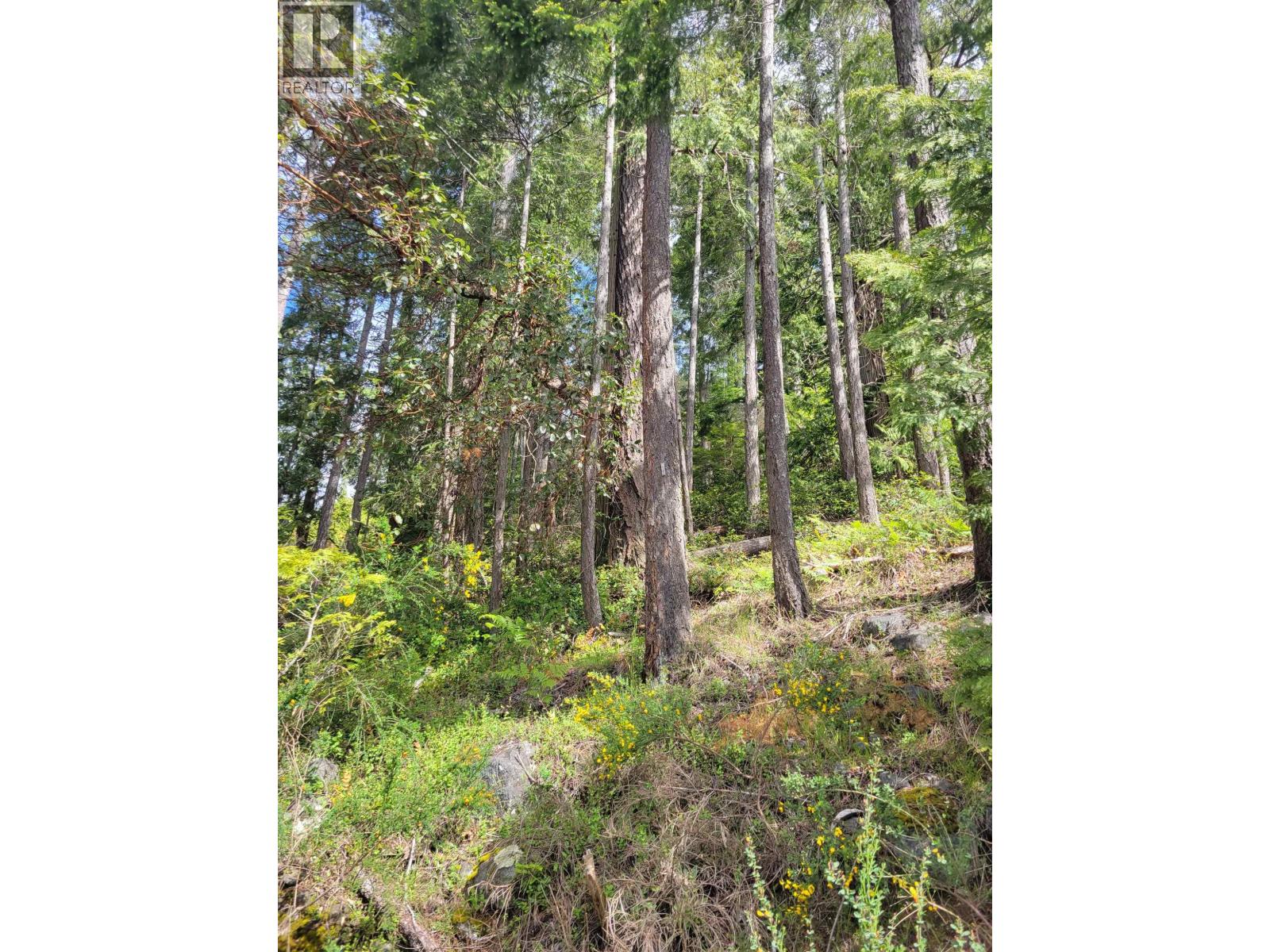 Lot 3 Sinclair Bay Road, Garden Bay, British Columbia  V0N 1S1 - Photo 15 - R3101108