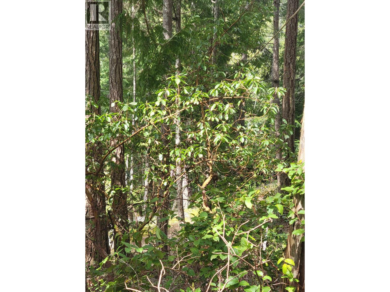 Lot 3 Sinclair Bay Road, Garden Bay, British Columbia  V0N 1S1 - Photo 23 - R3101108