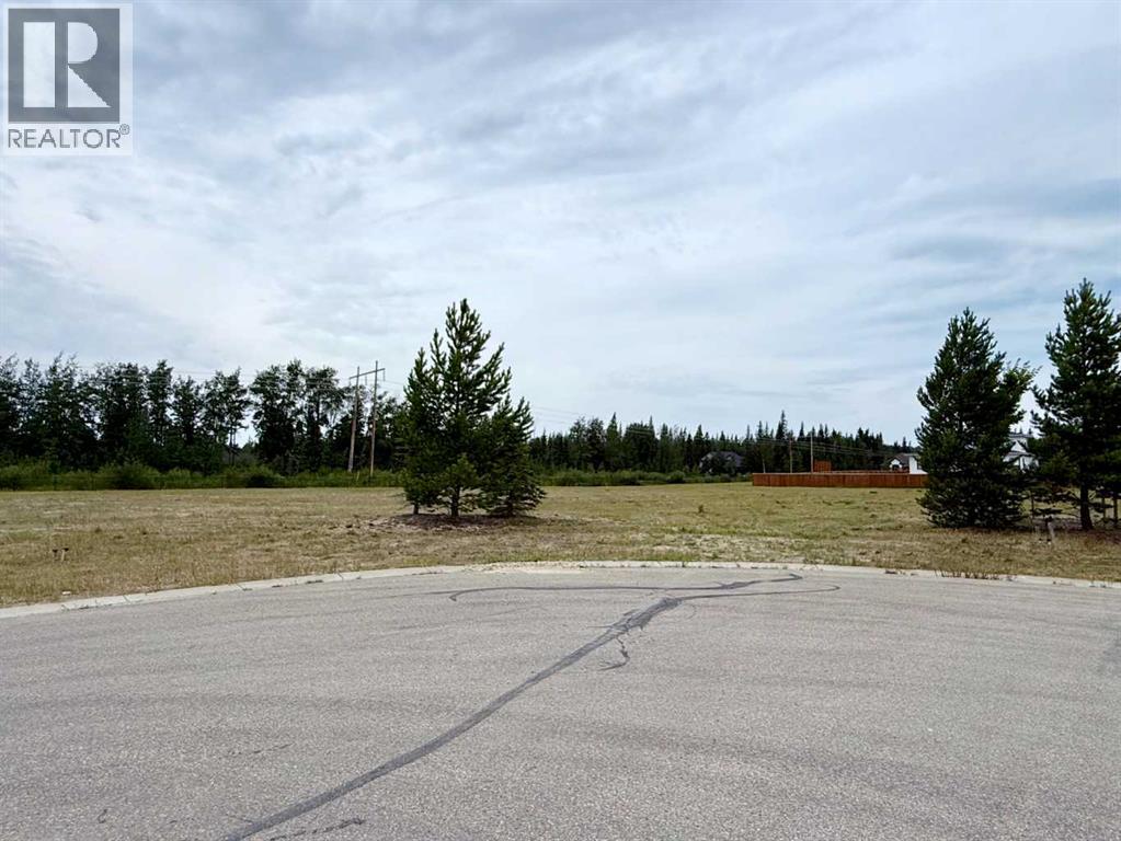 7956 Creekside Drive, Rural Grande Prairie No. 1, Alberta  T8W 0H3 - Photo 1 - A2048916