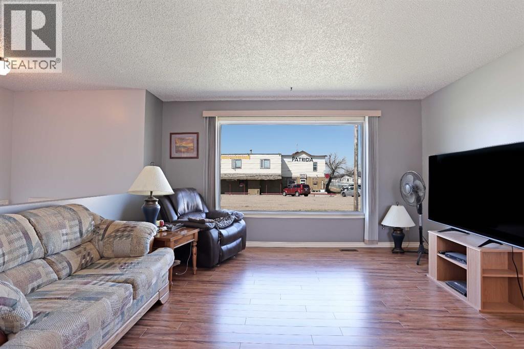 213 Centre Street, Patricia, Alberta  T0J 2K0 - Photo 7 - A2306525