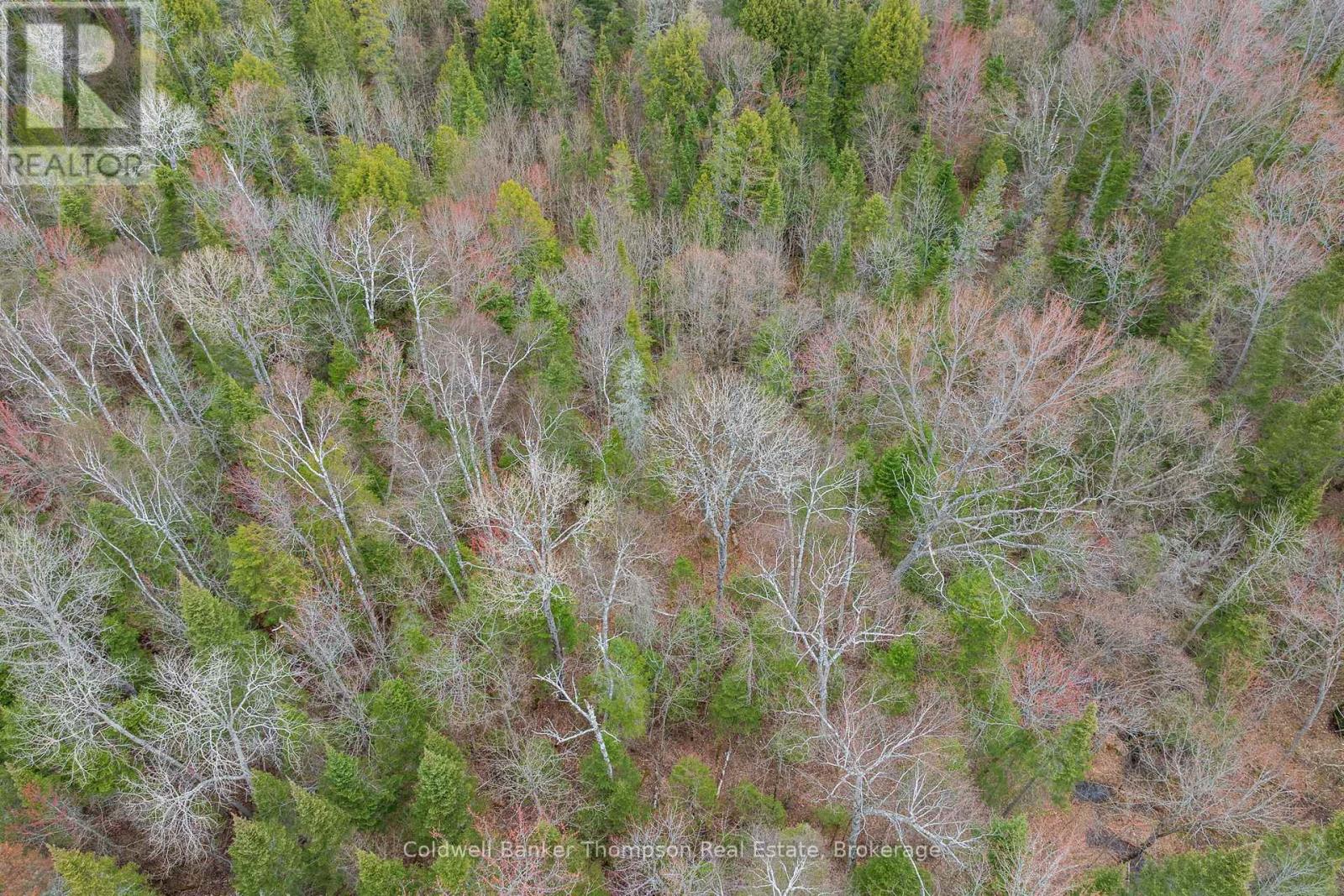0 Highway 518 West Highway, Mcmurrich/monteith, Ontario  P0A 1Y0 - Photo 18 - X13097172