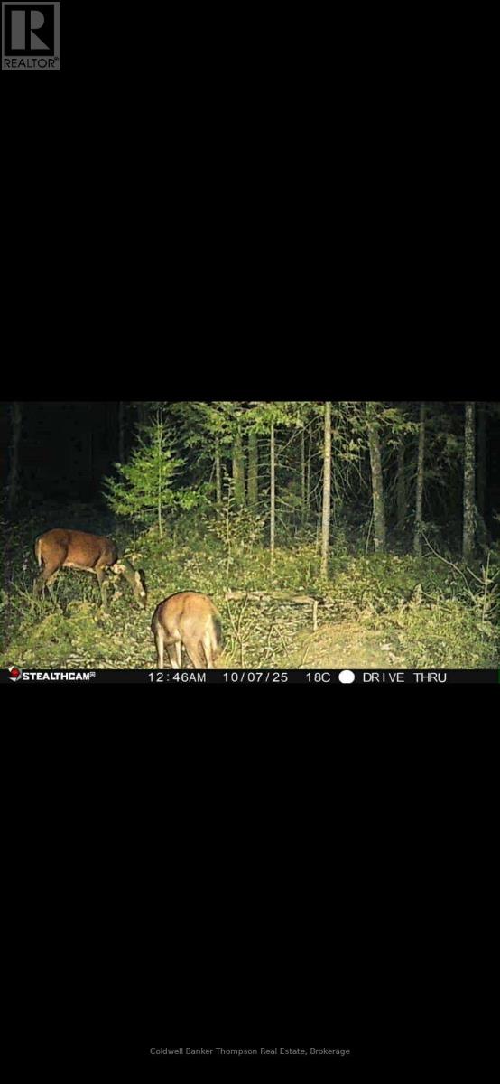0 Highway 518 West Highway, Mcmurrich/monteith, Ontario  P0A 1Y0 - Photo 3 - X13097172