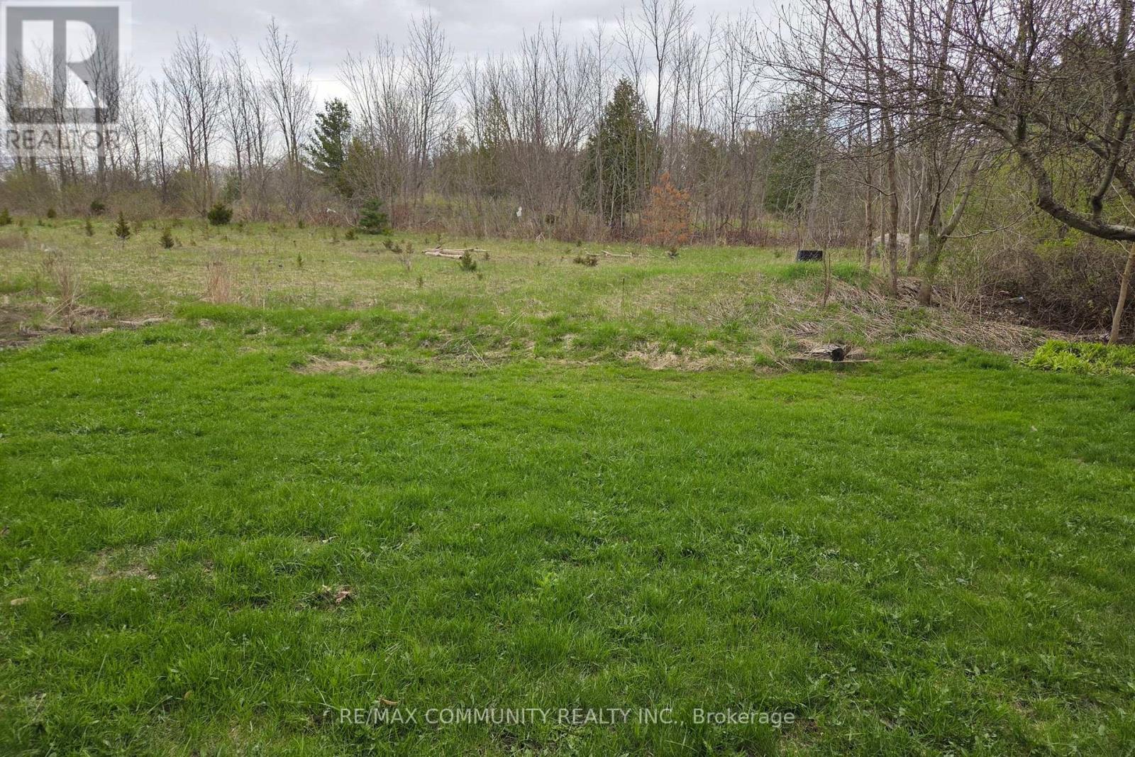 Bsmt - 225 Morningview Trail, Toronto, Ontario  M1B 5L7 - Photo 18 - E13097012