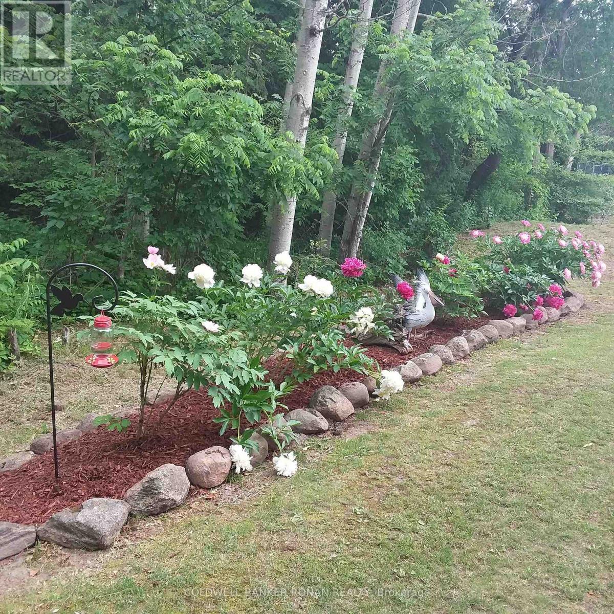 1761 Concession Rd 5, Adjala-Tosorontio, Ontario  L0G 1L0 - Photo 40 - N13097242