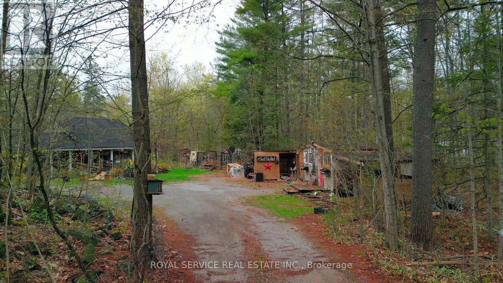 54 Cedar Hill Road, Trent Hills, Ontario  K0K 2M0 - Photo 28 - X13097444