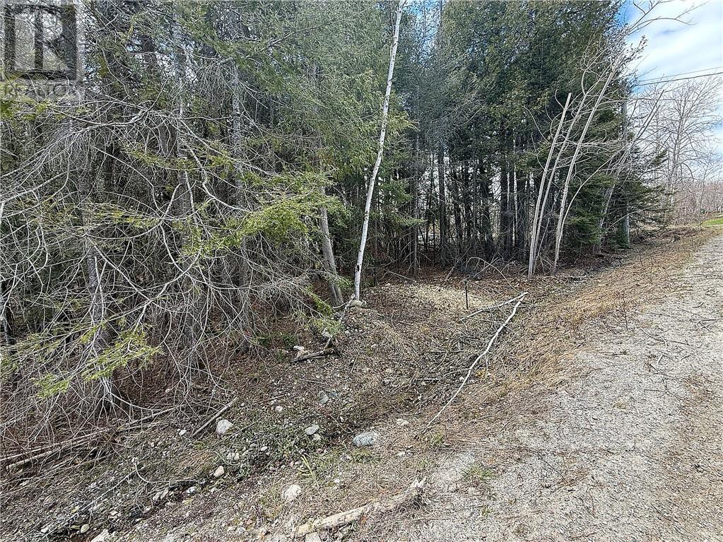 N/a Third Avenue, Manitowaning, Ontario  P0P 1N0 - Photo 5 - 2127552