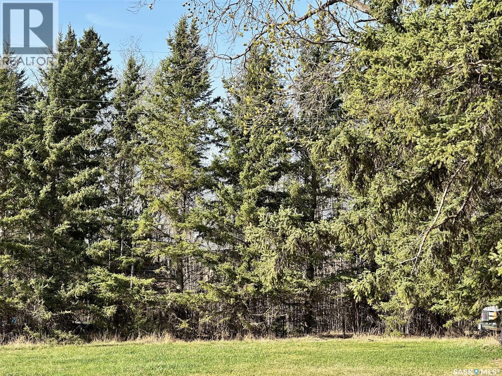 313 Hara Avenue, Bjorkdale, Saskatchewan  S0E 0Y0 - Photo 13 - SK035272