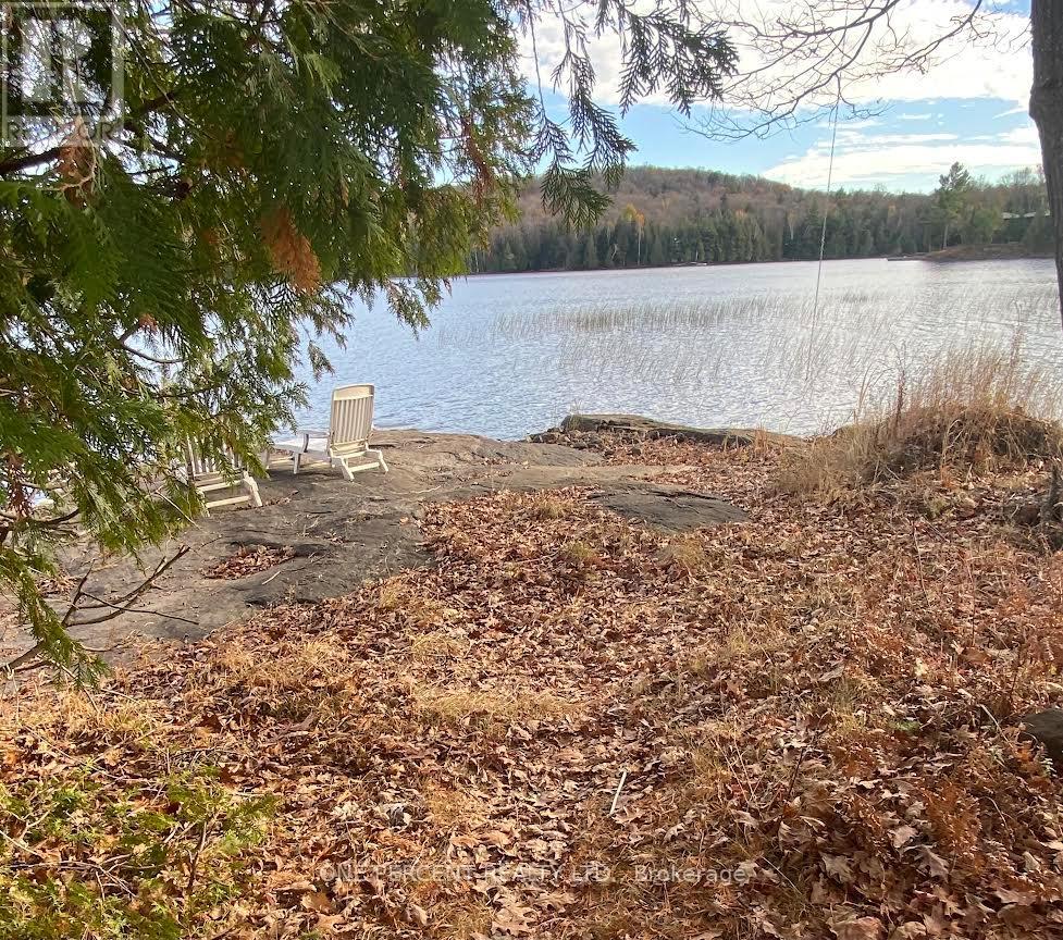 1260 Winders Bay Road, Lake Of Bays, Ontario  P0B 1A0 - Photo 11 - X13097450