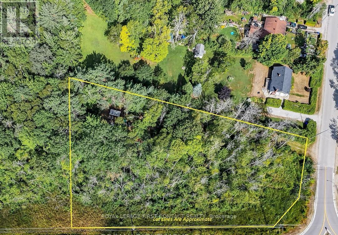 3040 Grass Lake Line, Severn, Ontario  L0K 2B0 - Photo 3 - S13097596
