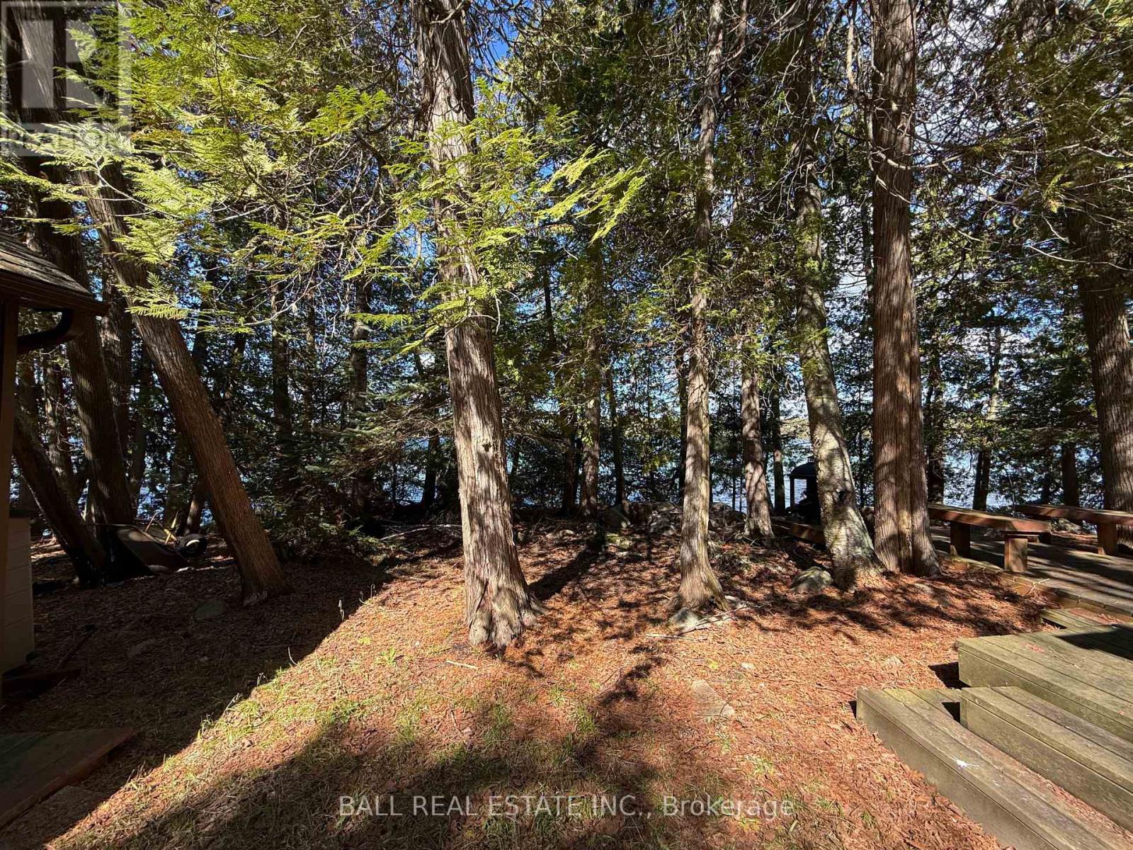 127 Fire Route 42, Trent Lakes, Ontario  K0L 1J0 - Photo 12 - X12902616