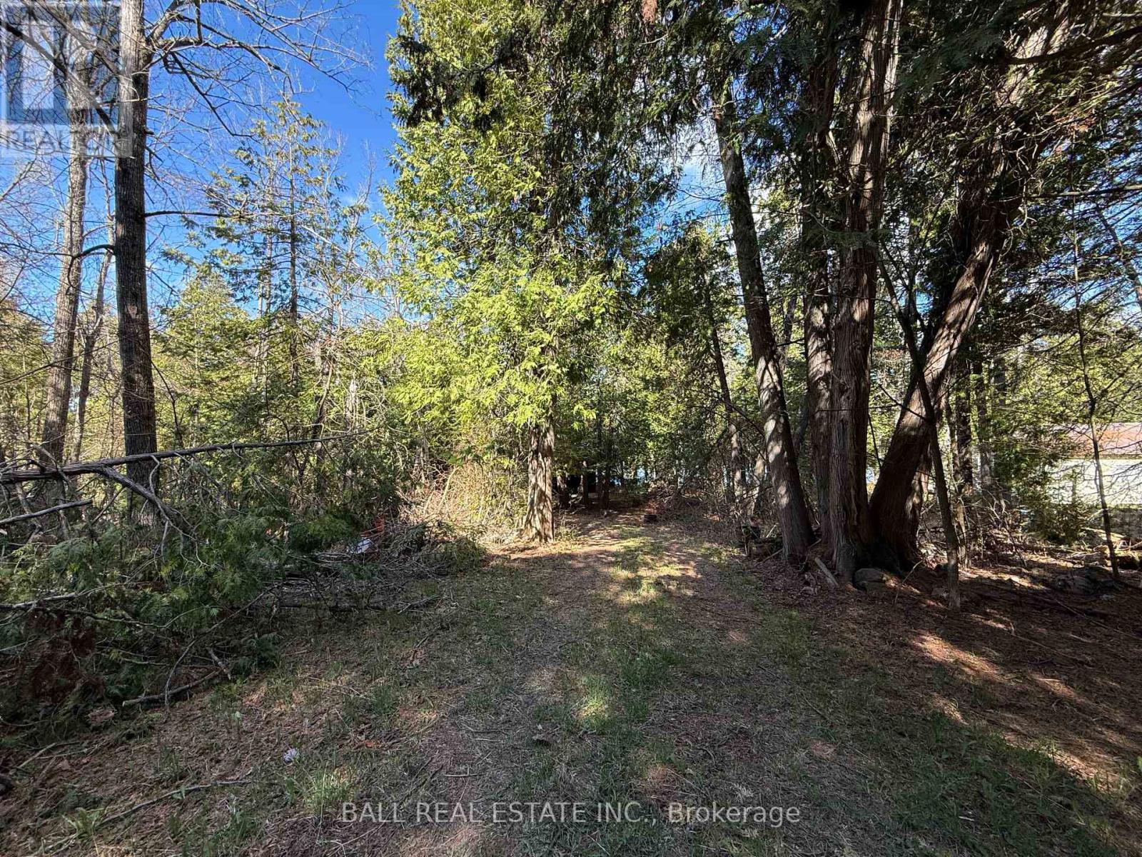 127 Fire Route 42, Trent Lakes, Ontario  K0L 1J0 - Photo 31 - X12902616