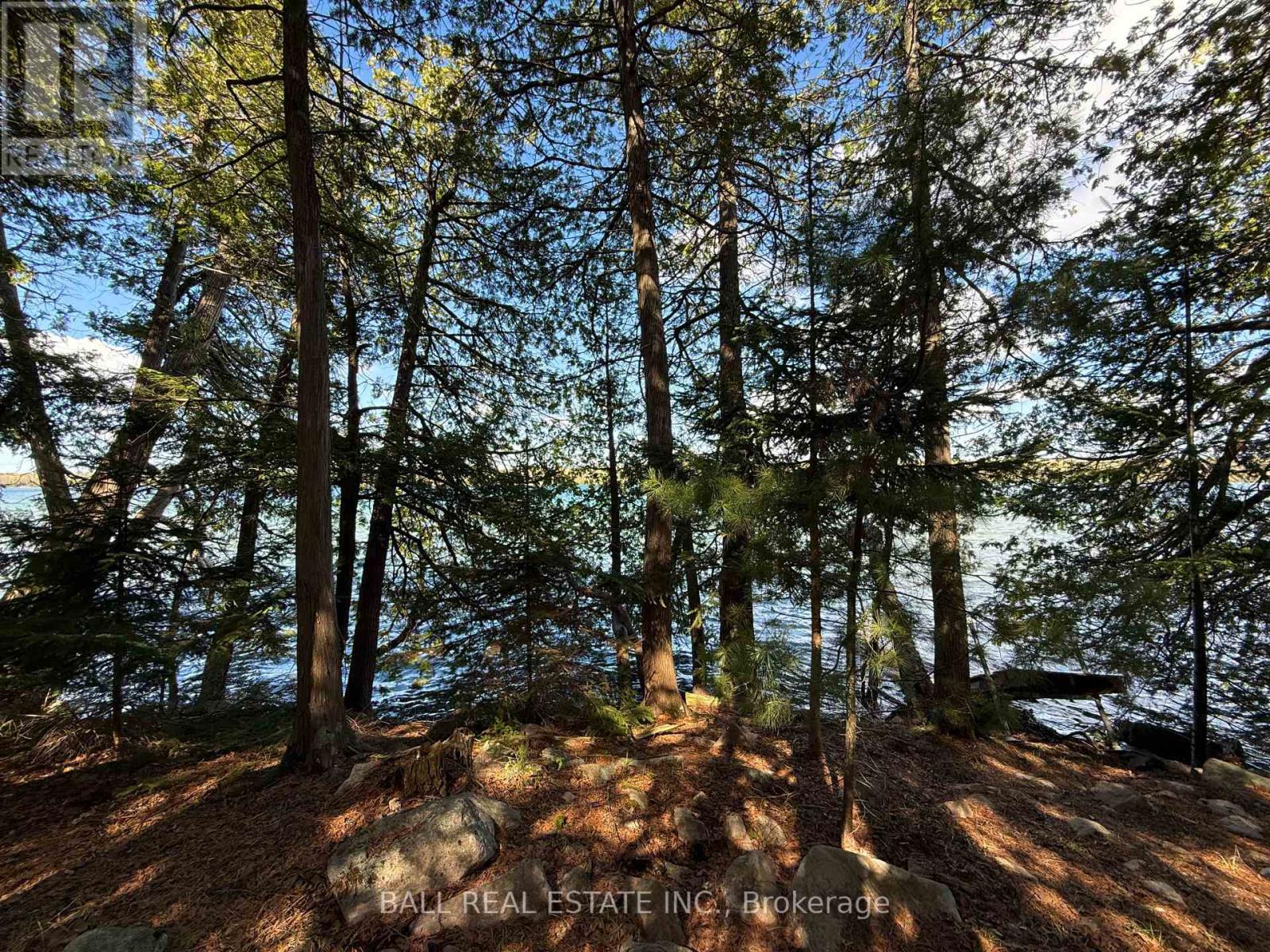127 Fire Route 42, Trent Lakes, Ontario  K0L 1J0 - Photo 7 - X12902616