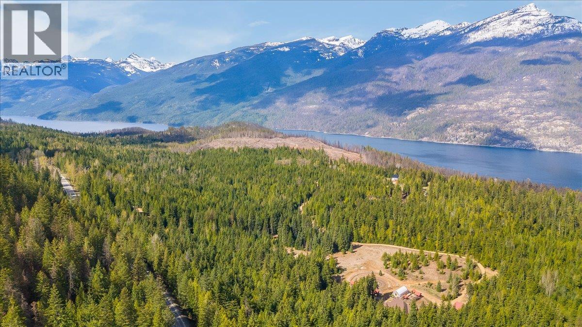 8749 6 Highway, Silverton, British Columbia  V0G 2B0 - Photo 50 - 10386137
