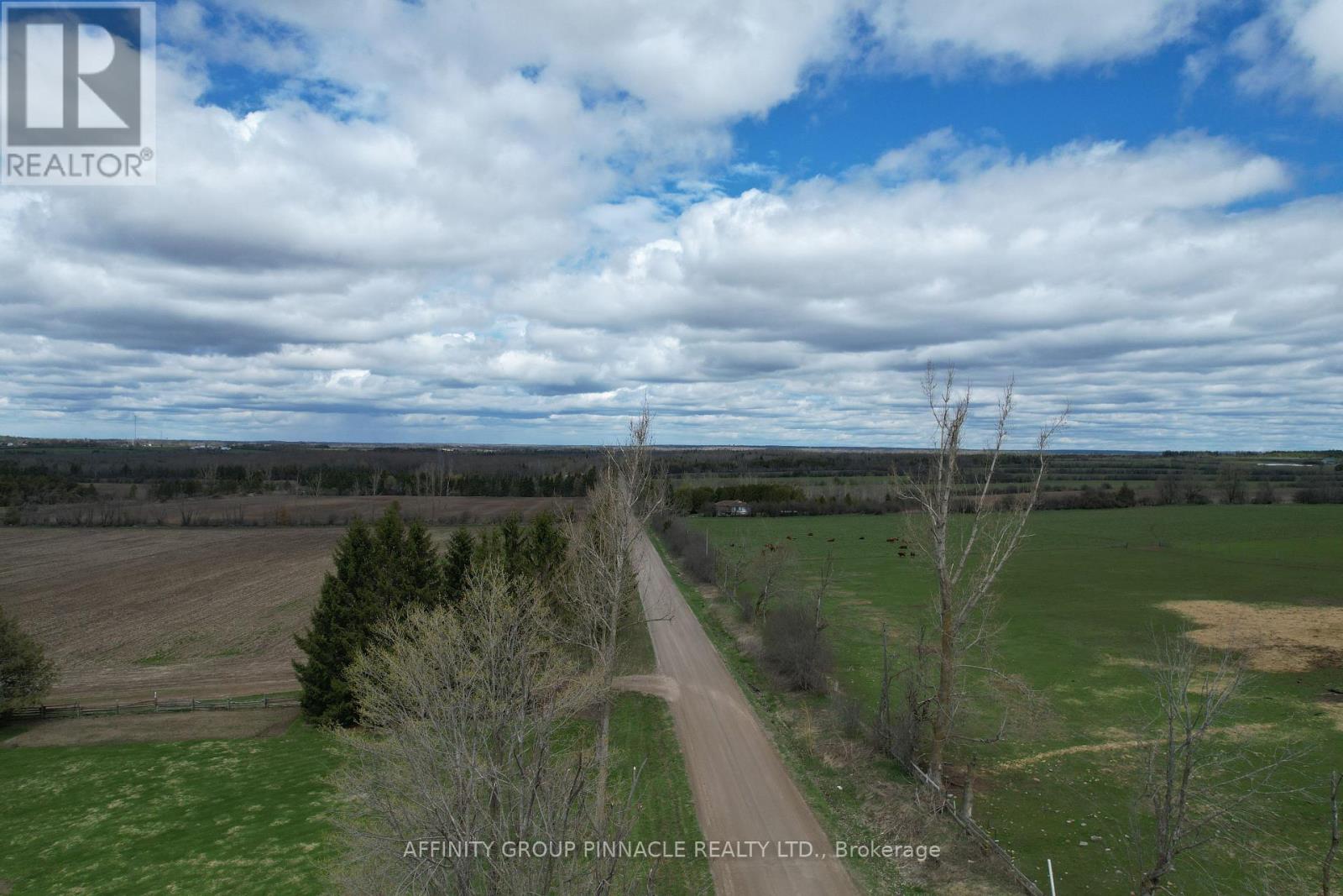 103 Kenstone Beach Road, Kawartha Lakes, Ontario  K0M 1A0 - Photo 4 - X13097950