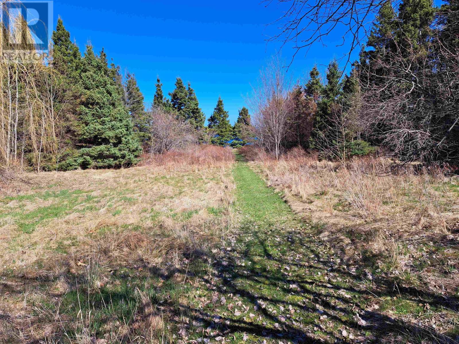 1407 North Shore Road, North Shore, Nova Scotia  B0K 1E0 - Photo 34 - 202601908