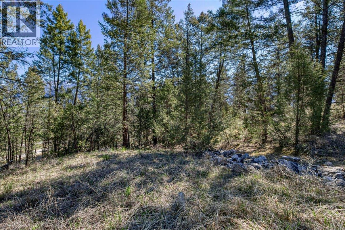 Lot 12 Bella Vista Boulevard, Fairmont Hot Springs, British Columbia  V0B 1L1 - Photo 9 - 10385708