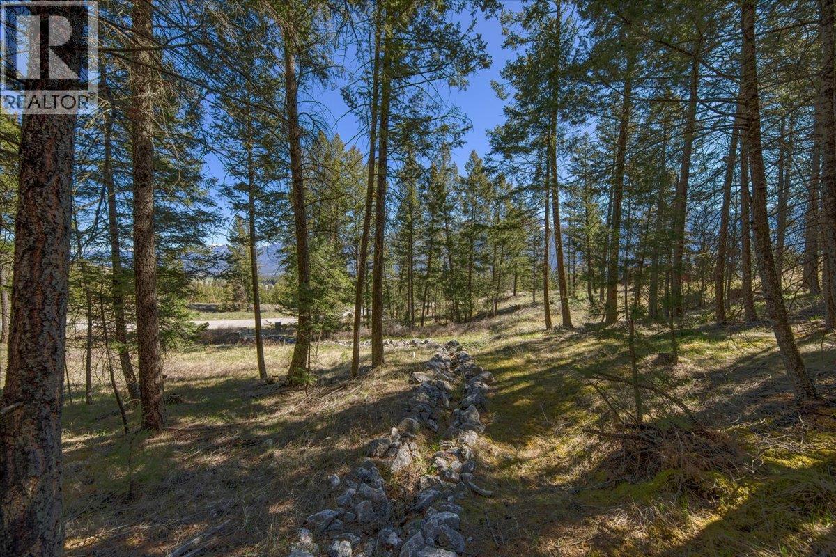 Lot 12 Bella Vista Boulevard, Fairmont Hot Springs, British Columbia  V0B 1L1 - Photo 7 - 10385708