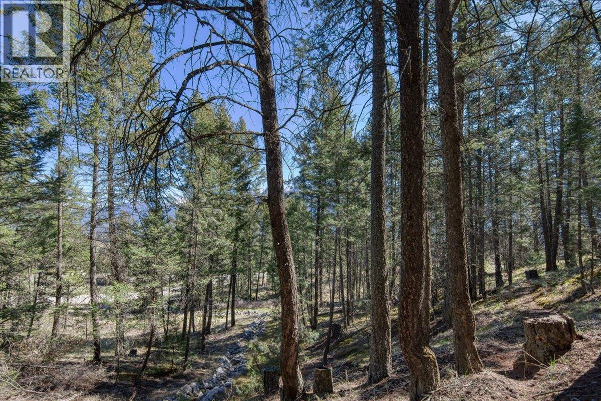 Lot 12 Bella Vista Boulevard, Fairmont Hot Springs, British Columbia  V0B 1L1 - Photo 8 - 10385708