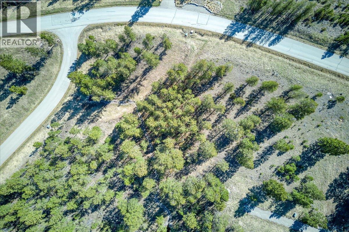 Lot 12 Bella Vista Boulevard, Fairmont Hot Springs, British Columbia  V0B 1L1 - Photo 21 - 10385708
