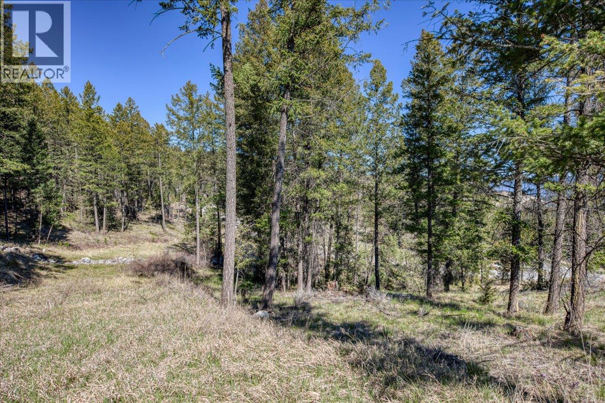 Lot 12 Bella Vista Boulevard, Fairmont Hot Springs, British Columbia  V0B 1L1 - Photo 16 - 10385708