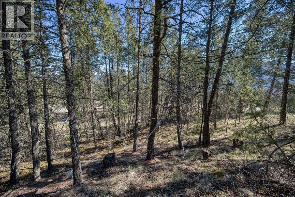 Lot 12 Bella Vista Boulevard, Fairmont Hot Springs, British Columbia  V0B 1L1 - Photo 10 - 10385708