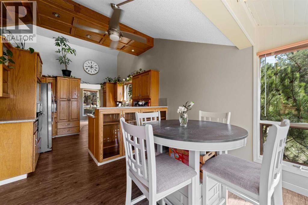 44402 Range Road 125, Rural Flagstaff County, Alberta  T0B 4C0 - Photo 10 - A2308668