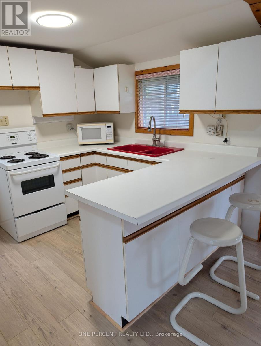175 Driftwood Shores Road, Kawartha Lakes, Ontario  K0M 2B0 - Photo 19 - X13097880