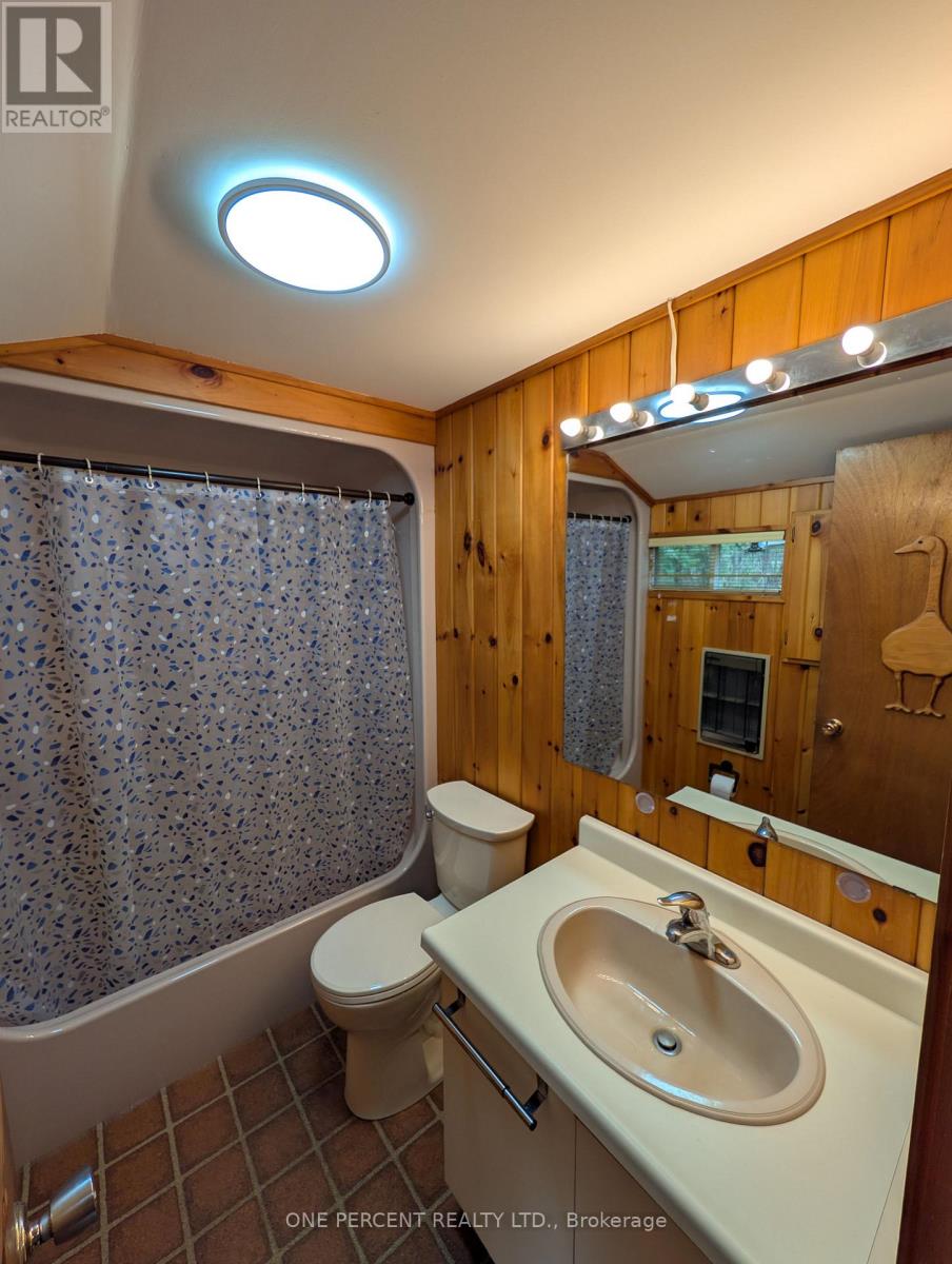 175 Driftwood Shores Road, Kawartha Lakes, Ontario  K0M 2B0 - Photo 20 - X13097880