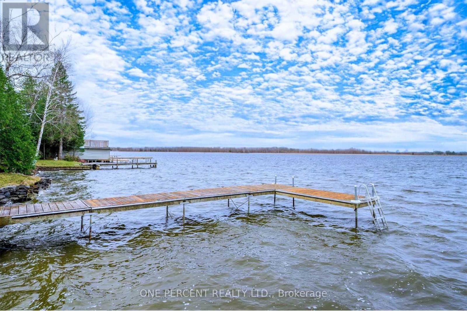 175 Driftwood Shores Road, Kawartha Lakes, Ontario  K0M 2B0 - Photo 6 - X13097880