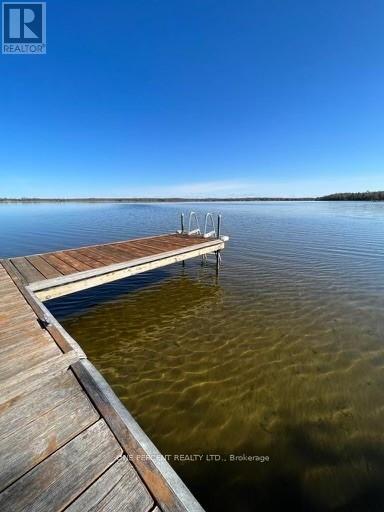 175 Driftwood Shores Road, Kawartha Lakes, Ontario  K0M 2B0 - Photo 7 - X13097880