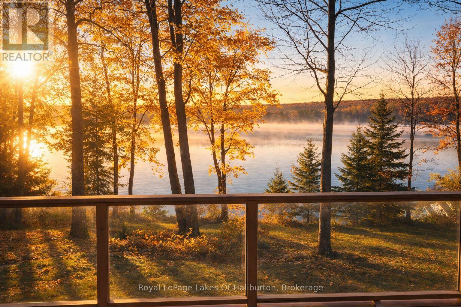1384 North Shore Road, Algonquin Highlands, Ontario  K0M 1S0 - Photo 39 - X13098054
