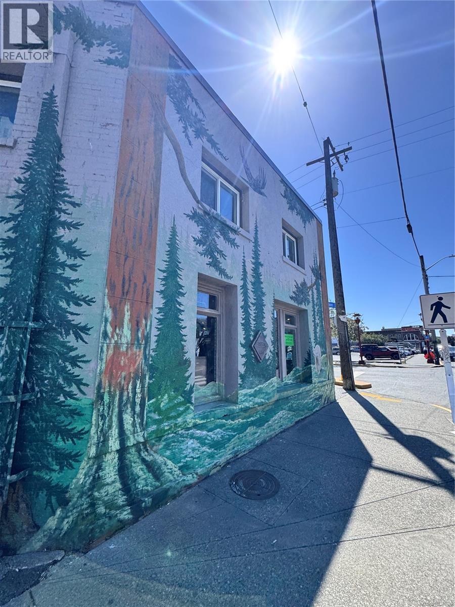 504 Herald St, Victoria, British Columbia  V8W 1S6 - Photo 3 - 1034986