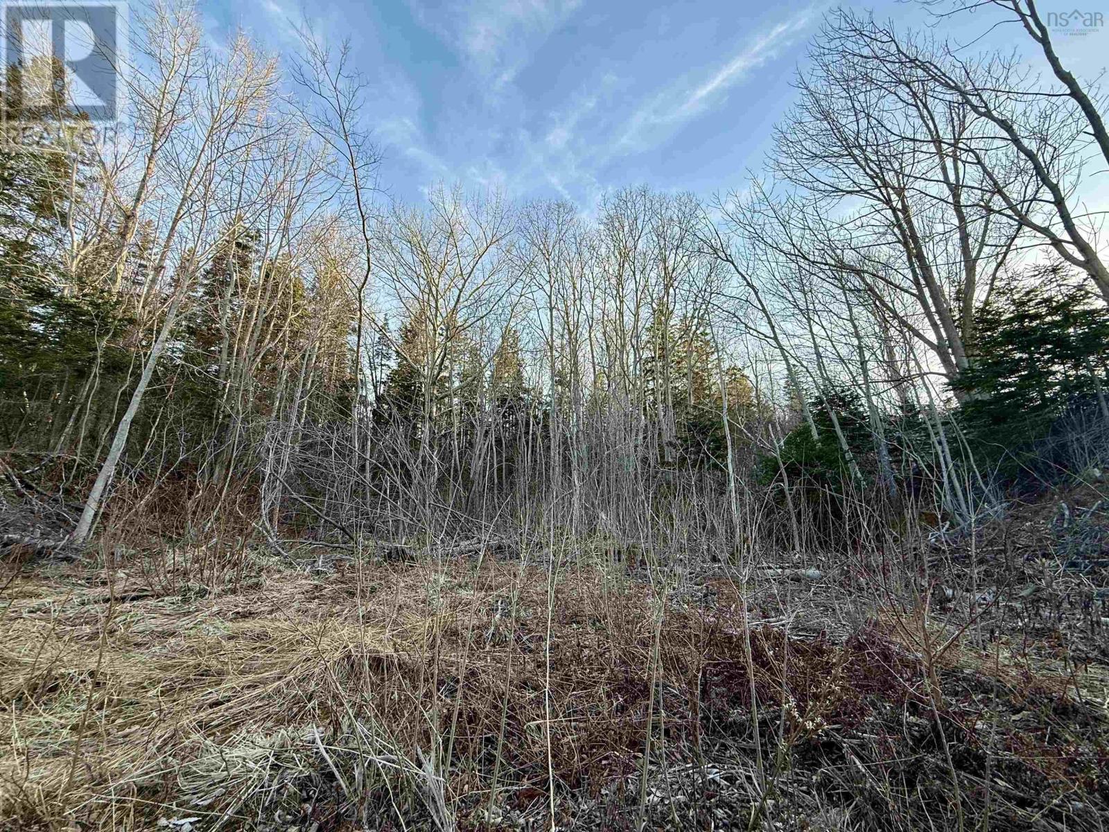 Lot Highway 4, Aulds Cove, Nova Scotia  B0H 1K0 - Photo 3 - 202610113
