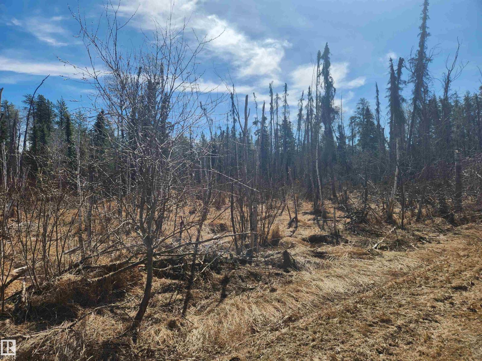 #township Road 575 And Range Road 173, Rural Lamont County, Alberta  T0B 4B0 - Photo 5 - E4486329