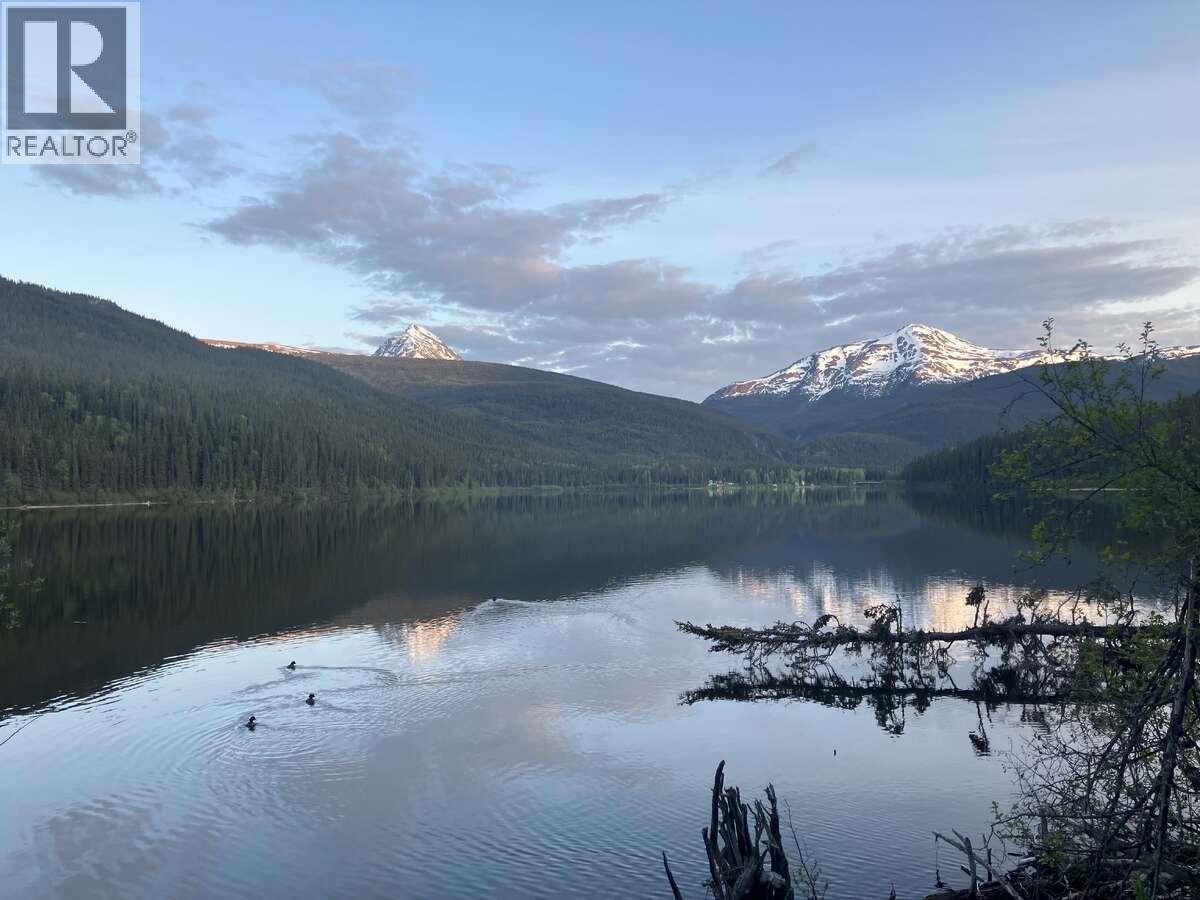 7298 Bc Highway 37, Dease Lake, British Columbia  V0C 1E0 - Photo 1 - R3120966