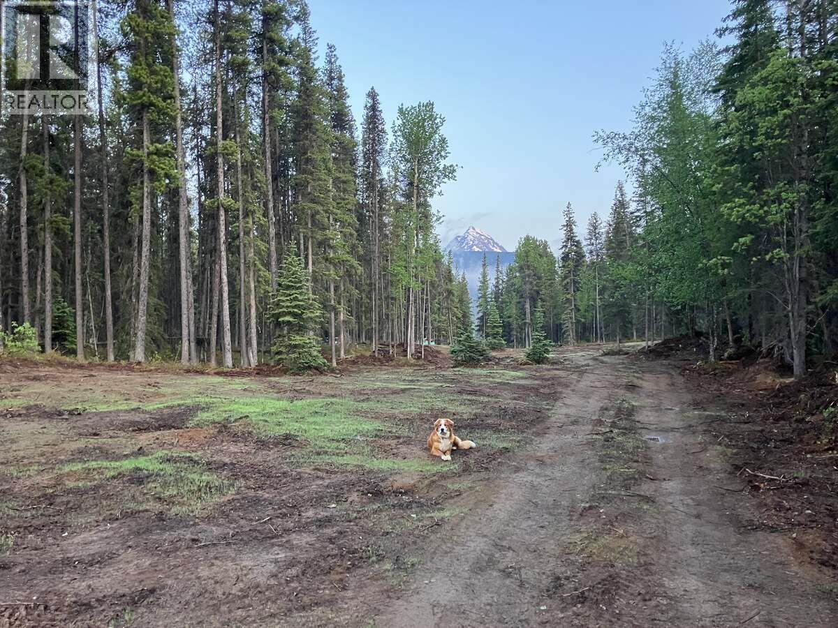 7298 Bc Highway 37, Dease Lake, British Columbia  V0C 1E0 - Photo 6 - R3120966