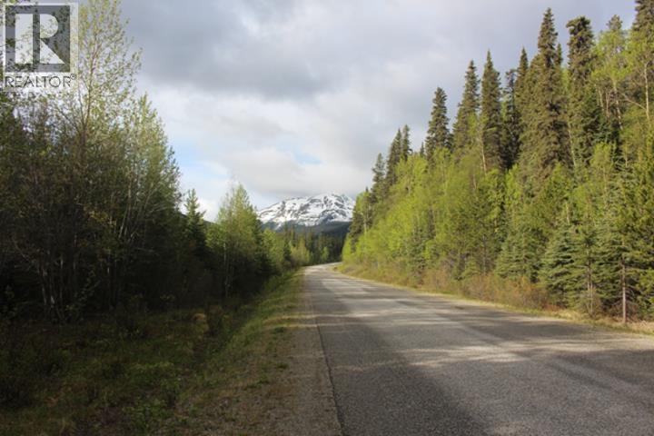 7298 Bc Highway 37, Dease Lake, British Columbia  V0C 1E0 - Photo 7 - R3120966