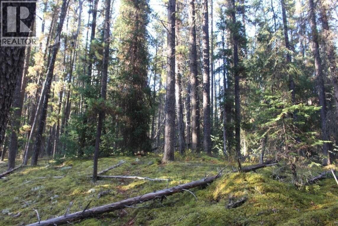 7298 Bc Highway 37, Dease Lake, British Columbia  V0C 1E0 - Photo 9 - R3120966
