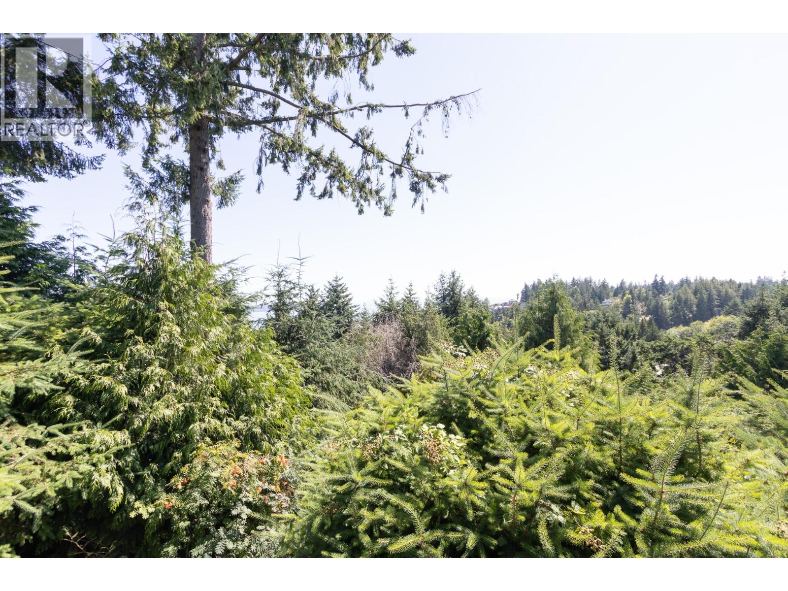 4591 Woodgreen Drive, West Vancouver, British Columbia  V7S 2V3 - Photo 9 - R3120908
