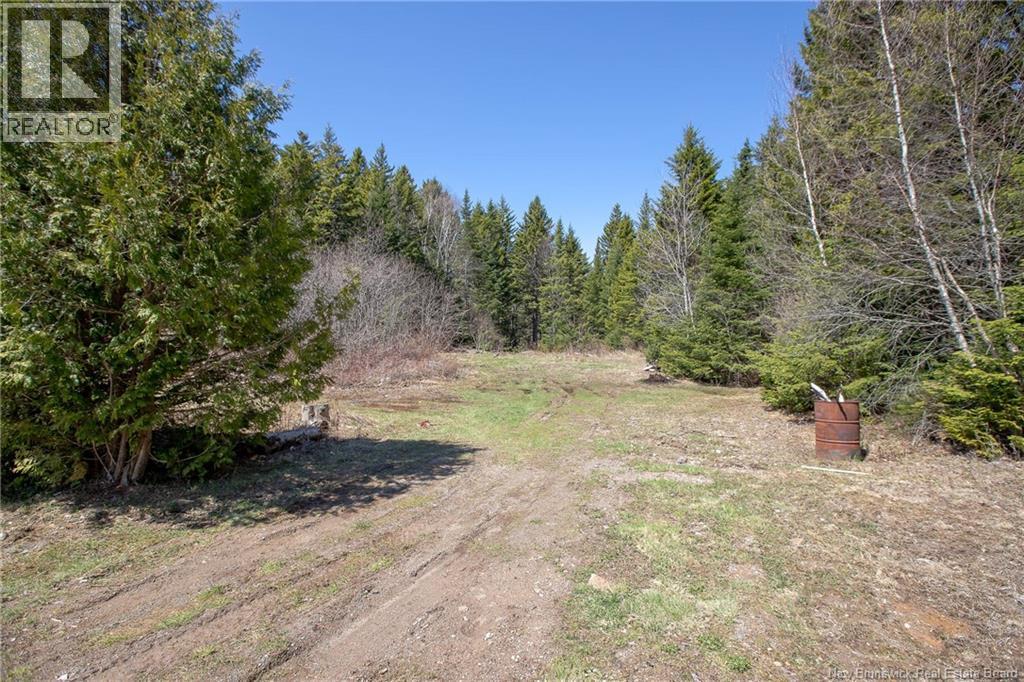 349 Milkish Creek Road, Summerville, New Brunswick  E5S 1V7 - Photo 22 - NB132445