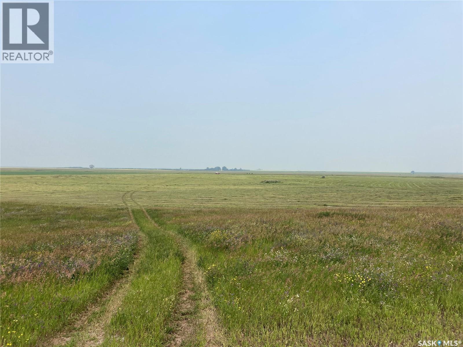Rm 221 - Penzance Farm Land, Sarnia Rm No. 221, Saskatchewan  S0G 3X0 - Photo 6 - SK035148