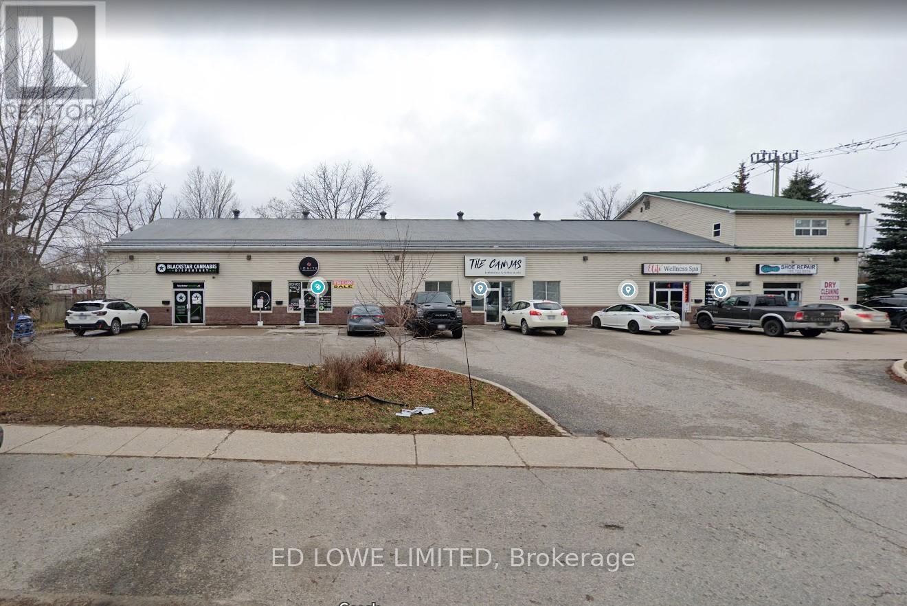 3 - 250 INNISFIL STREET, Barrie, Ontario
